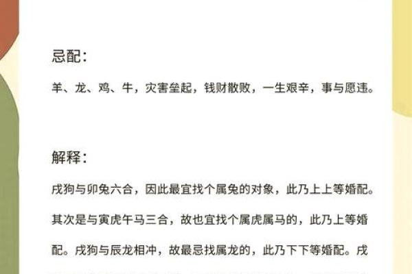 狗的最佳三个贵人属相是哪些？助你运势飙升