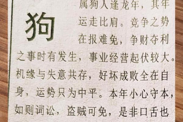 2026属狗人全年运势如何？事业财运详解