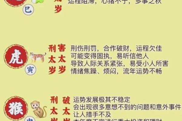 虎人2026年运势如何？事业财运全面解析