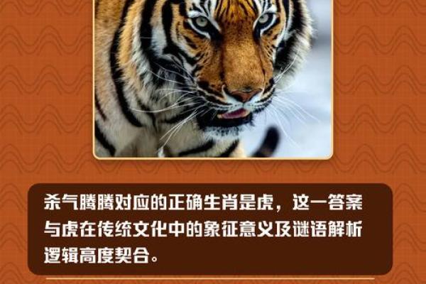 虎人2026年运势如何？事业财运全面解析