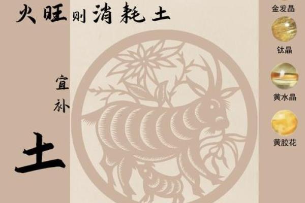 2015属羊的是什么命？五行命理一看就懂