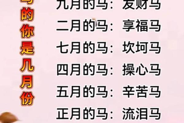 属马的人2026年运势如何？事业财运详解