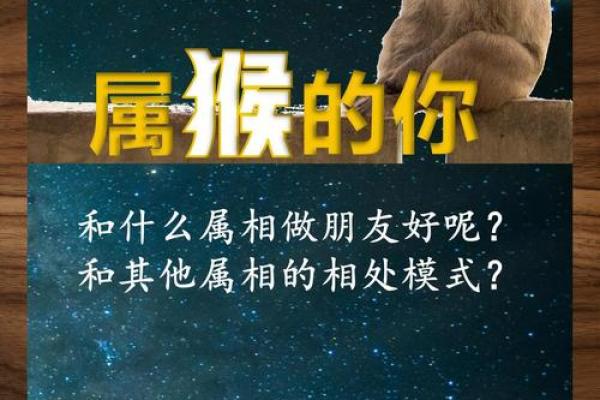 属猴一生的贵人恩人是谁?如何识别与把握?