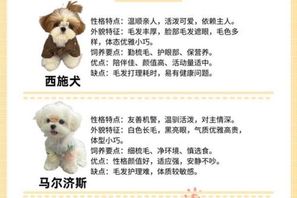 狗女几月出生最不利？生肖专家揭秘避坑指南