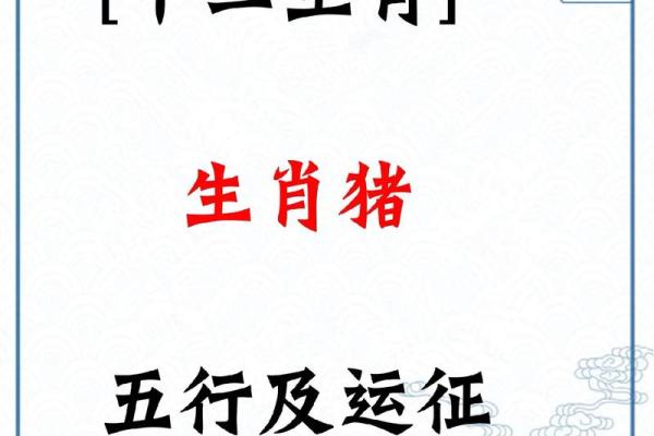 95年属猪女下半年运势如何？事业财运全解析