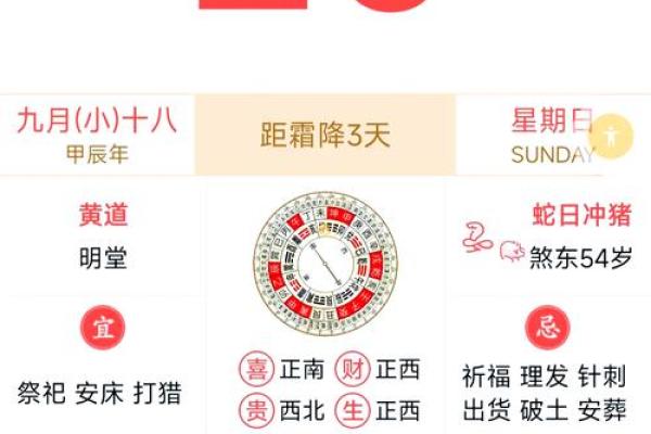 属鼠的幸运数字是什么？2024年开运指南