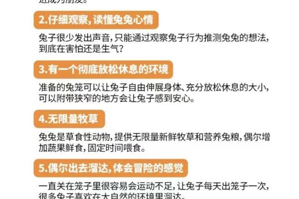 63年属兔人寿命多长？科学解析健康长寿秘诀