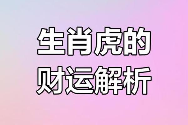 今年属虎的运势怎么样？2026年事业财运详解