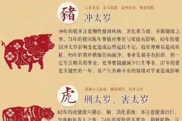 蛇年犯太岁生肖是哪几个？实用化解方法来了