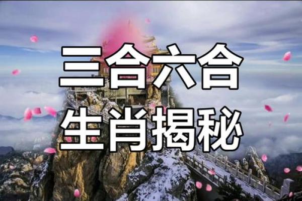 虎的三合贵人是谁？6合贵人如何助力运势？