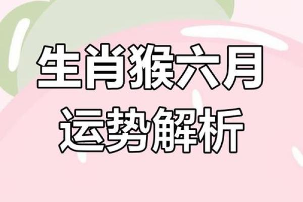 属猴人2026年每月运势如何？事业财运详解
