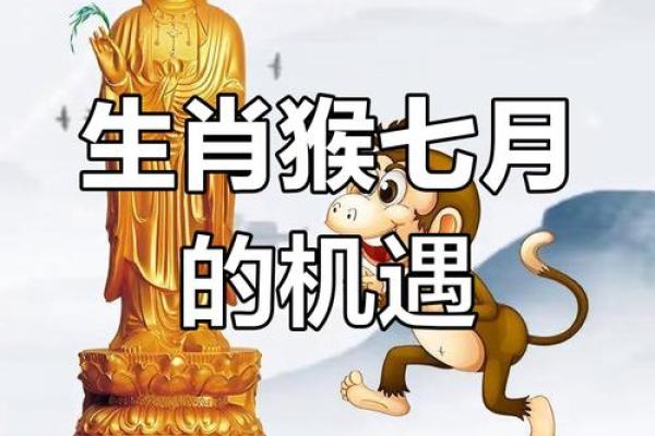 属猴的2026年运势如何?财运提升关键揭秘 属猴的2026年运势如何?财运提升关键揭秘