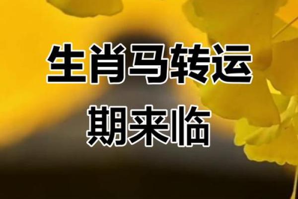 属马女2026年运势如何？财运提升关键揭秘