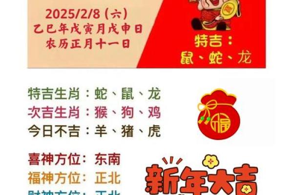 虎人2026蛇年每月运势详解，助你趋吉避凶