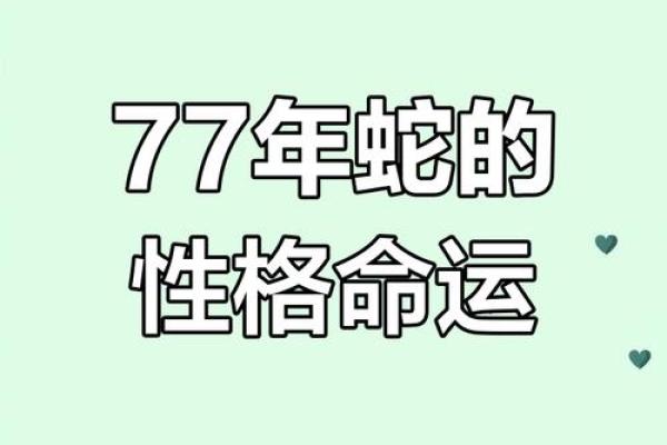 77年的蛇是什么命？五行属性解析助你转运