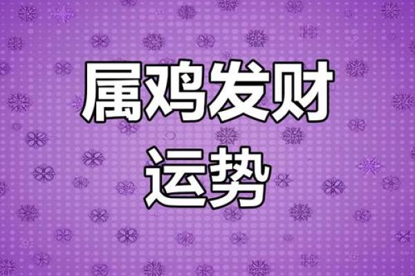 属鸡的财运如何？2024年提升财富的实用方法