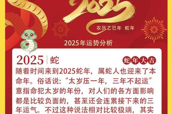 蛇人2026年感情运势如何?化解危机建议