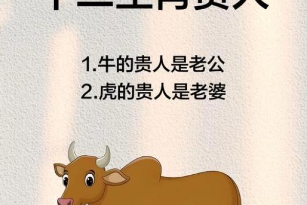 属虎的暗中贵人是谁？揭秘助你转运的生肖贵人