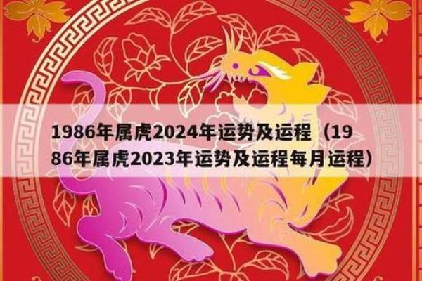 1986年虎女2026年运势如何？事业财运详解