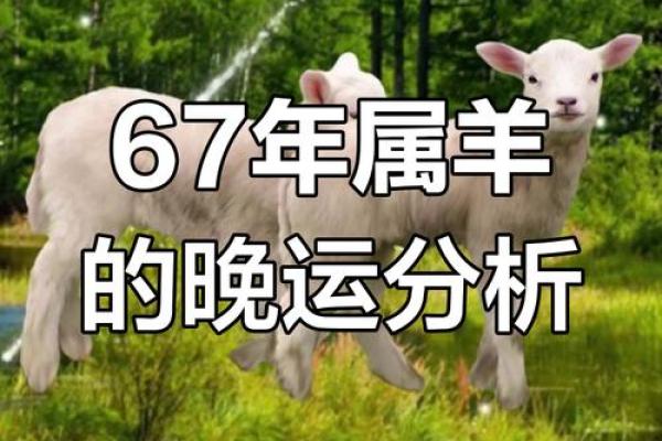 67年属羊女2026年运势如何？事业财运详解
