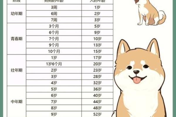 1970属狗人一生运势如何？事业财运详解