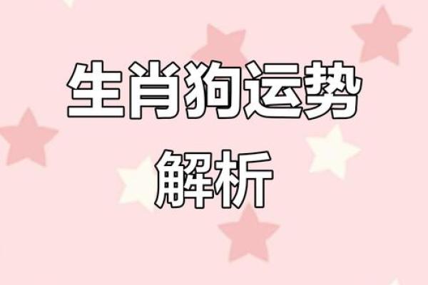 属狗的人今年财运如何？提升运势的实用方法