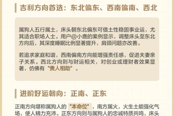 属狗的人今年财运如何？提升运势的实用方法