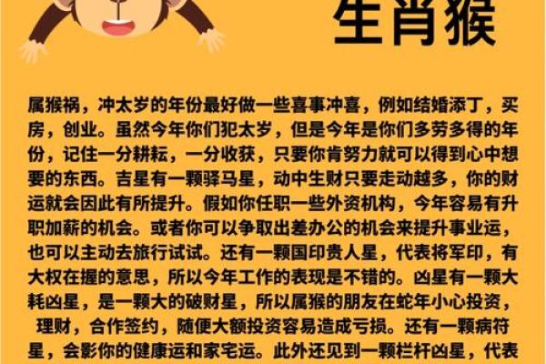 属猴人2024年运势走向,实用建议全在这