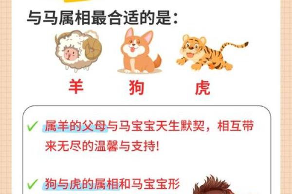 属马人几月出生最吉利?命理师揭秘最佳月份