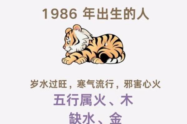 2010属虎的是什么命?五行解析助你转运