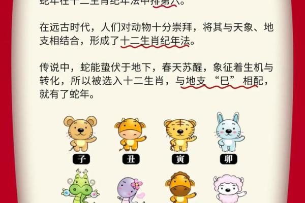 1965年属蛇人终身寿命多长？健康长寿秘诀揭秘