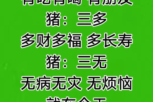 83年猪财运最旺三年怎么抓?实用技巧分享