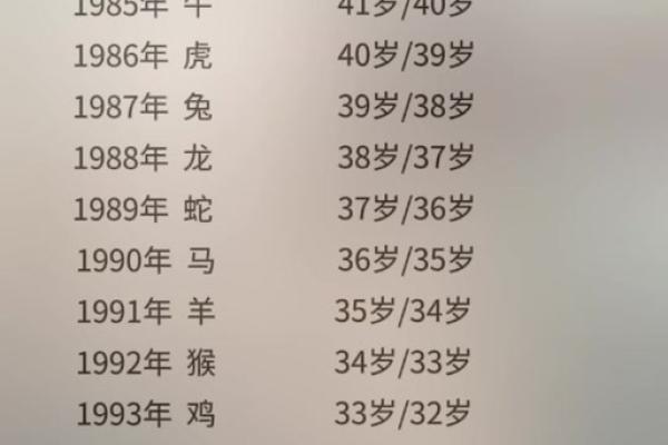 2026年不同年份出生的属鼠人虚岁和周岁怎么计算