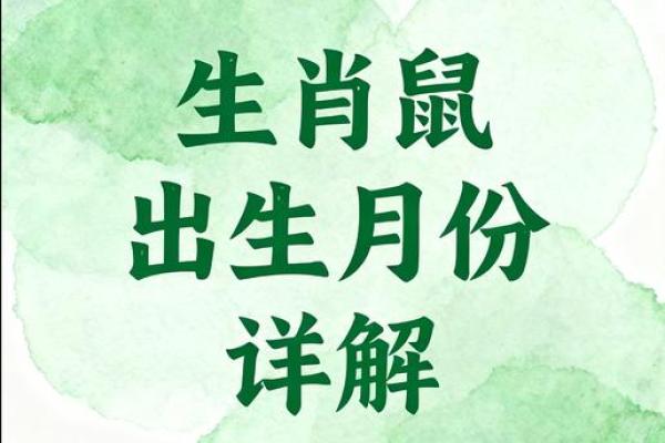 1996年属鼠人2026年全年运势详解，事业财运健康感情运程预测