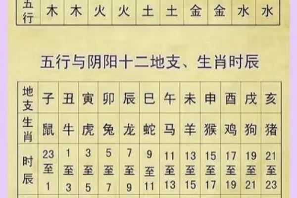 1996年出生属鼠的人五行属什么命格解析