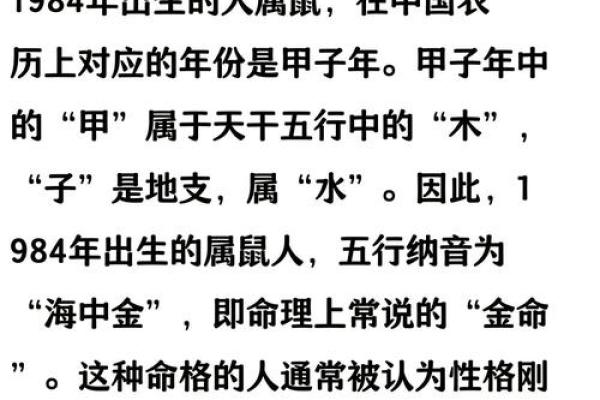 1996年出生属鼠的人五行属什么命格解析