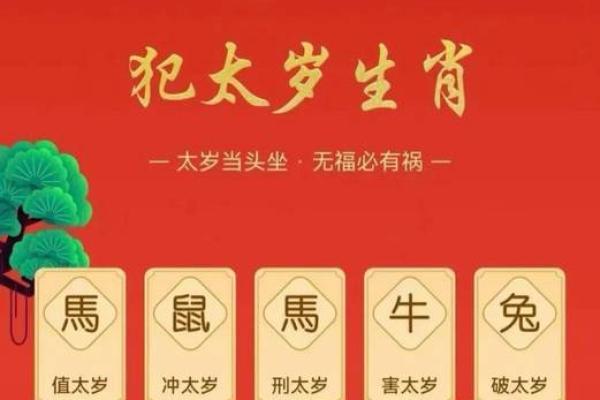2026年属鼠的人今年多少岁了具体年龄计算方式 2026年属鼠的人今年多少岁了具体年龄计算方式
