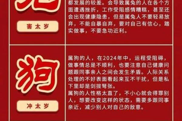 2024年属鼠人全年运势分析:84年出生者如何化解太岁提升运势 2024年属鼠人全年运势分析:84年出生者如何化解太岁提升运势