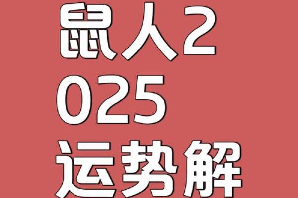 属鼠人2026年蛇年运势详解：财运、事业和健康运程预测