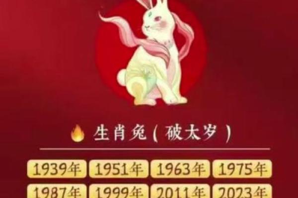 1996年属鼠人2026年运势详解，全年财运事业健康如何