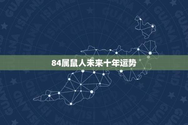 1984年属鼠人今年财运如何?事业和健康运势解析 1984年属鼠人今年财运如何?事业和健康运势解析