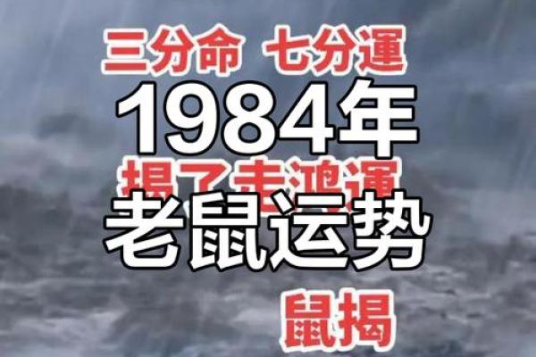 2026年84年出生属鼠人的财运、事业和健康全年运势预测 2026年84年出生属鼠人的财运、事业和健康全年运势预测