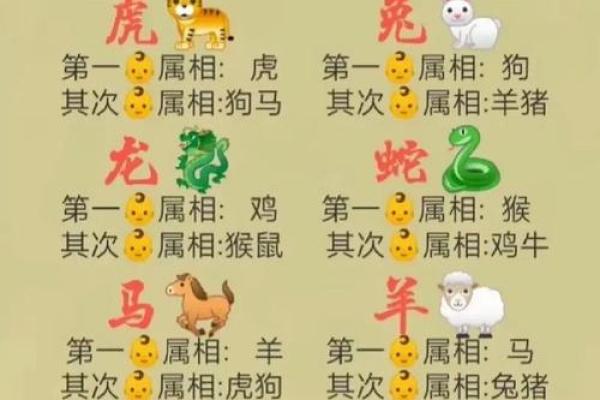 2026年1996年出生属鼠人全年运势如何？感情婚姻和事业运程预测