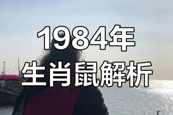 1984年出生属鼠2026年事业财运和健康需要注意什么