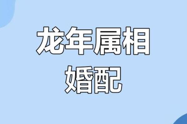 龙和鼠的属相婚配如何?解析两者性格与婚姻契合度 龙和鼠的属相婚配如何?解析两者性格与婚姻契合度