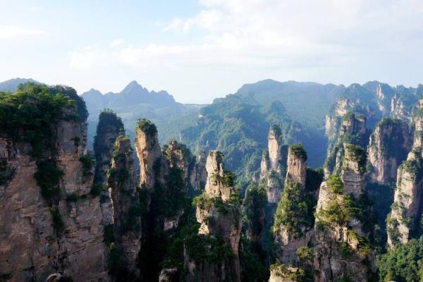 属鼠人2026年穿什么颜色的衣服最能提升运势 属鼠人2026年穿什么颜色的衣服最能提升运势