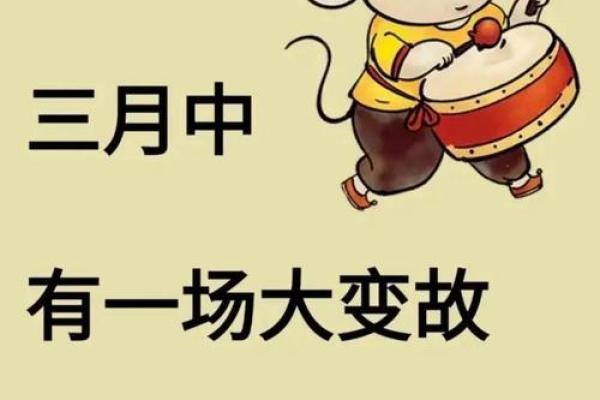 1984年属鼠女2026年运势详解：财运、事业与健康全预测