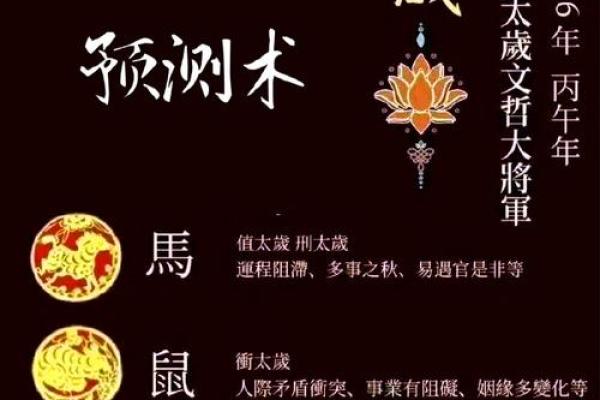 属鼠人2026年每月运程预测，高人指点吉凶与破解方法