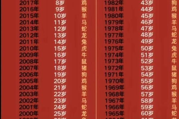 2026年属鼠的人今年具体年龄是多少岁怎么计算 2026年属鼠的人今年具体年龄是多少岁怎么计算