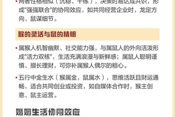 属鼠的婚配对象中谁最能带来好运和财富增长
